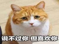 温州市鹿城区苗菱网络技术工作室