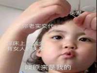 温州市鹿城区苗菱网络技术工作室