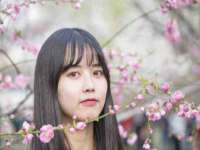 温州市鹿城区苗菱网络技术工作室