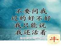 温州市鹿城区苗菱网络技术工作室