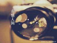 温州市鹿城区苗菱网络技术工作室