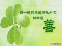 温州市鹿城区苗菱网络技术工作室
