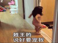 温州市鹿城区苗菱网络技术工作室