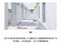 温州市鹿城区苗菱网络技术工作室