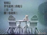 温州市鹿城区苗菱网络技术工作室