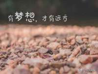 温州市鹿城区苗菱网络技术工作室