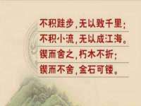 温州市鹿城区苗菱网络技术工作室