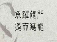 温州市鹿城区苗菱网络技术工作室