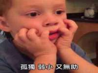 温州市鹿城区苗菱网络技术工作室
