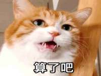 温州市鹿城区苗菱网络技术工作室
