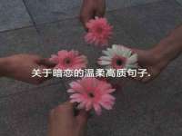 温州市鹿城区苗菱网络技术工作室