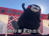 温州市鹿城区苗菱网络技术工作室