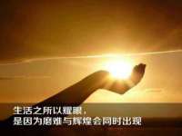 温州市鹿城区苗菱网络技术工作室