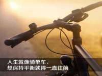 温州市鹿城区苗菱网络技术工作室