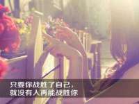 温州市鹿城区苗菱网络技术工作室