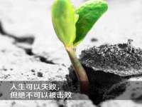 温州市鹿城区苗菱网络技术工作室