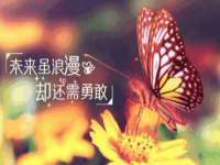 温州市鹿城区苗菱网络技术工作室
