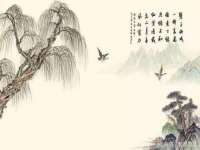温州市鹿城区苗菱网络技术工作室
