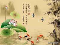 温州市鹿城区苗菱网络技术工作室