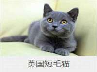 温州市鹿城区苗菱网络技术工作室