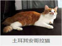 温州市鹿城区苗菱网络技术工作室