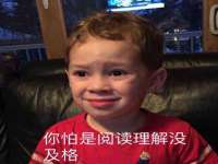 温州市鹿城区苗菱网络技术工作室