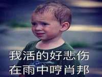 温州市鹿城区苗菱网络技术工作室