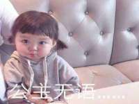温州市鹿城区苗菱网络技术工作室