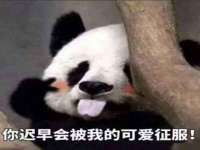 温州市鹿城区苗菱网络技术工作室
