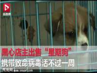 温州市鹿城区苗菱网络技术工作室
