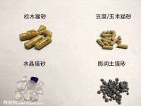 温州市鹿城区苗菱网络技术工作室