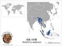 温州市鹿城区苗菱网络技术工作室