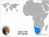 温州市鹿城区苗菱网络技术工作室