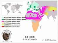 温州市鹿城区苗菱网络技术工作室