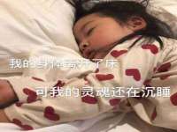 温州市鹿城区苗菱网络技术工作室