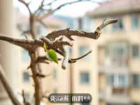 温州市鹿城区苗菱网络技术工作室