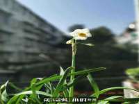 温州市鹿城区苗菱网络技术工作室
