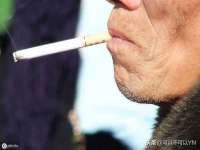 温州市鹿城区苗菱网络技术工作室
