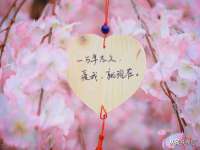 温州市鹿城区苗菱网络技术工作室