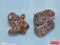温州市鹿城区苗菱网络技术工作室