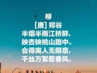 温州市鹿城区苗菱网络技术工作室