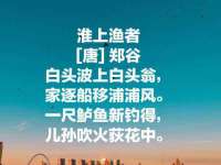 温州市鹿城区苗菱网络技术工作室
