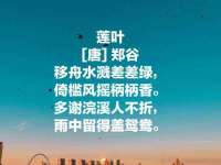 温州市鹿城区苗菱网络技术工作室