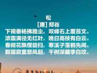 温州市鹿城区苗菱网络技术工作室