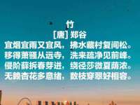 温州市鹿城区苗菱网络技术工作室