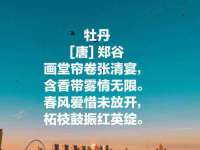 温州市鹿城区苗菱网络技术工作室