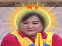 温州市鹿城区苗菱网络技术工作室