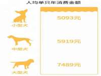 温州市鹿城区苗菱网络技术工作室