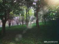 温州市鹿城区苗菱网络技术工作室