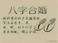 温州市鹿城区苗菱网络技术工作室